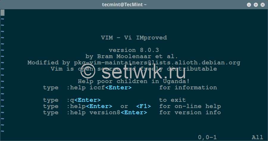 Как установить редактор Vim в системах Linux
