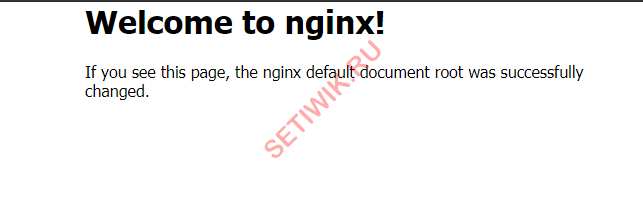 Новая веб-страница NGINX по умолчанию