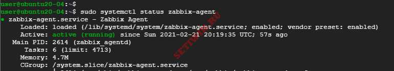 Проверка состояния zabbix - agent