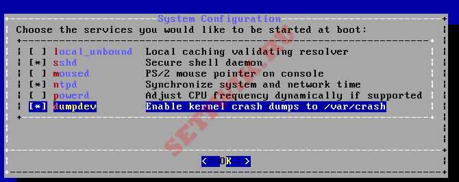 Выбор служб при запуске системы FreeBSD