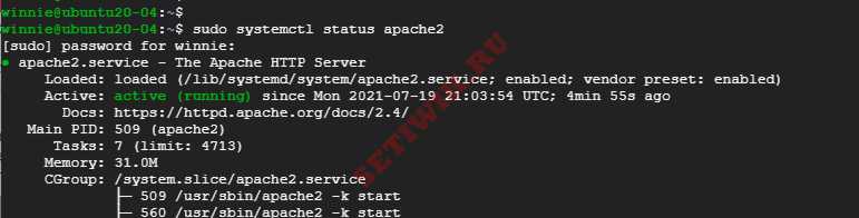 Проверка состояния веб-сервера Apache