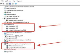 Категории Клавиатуры и Мыши и другие указывающие устройства