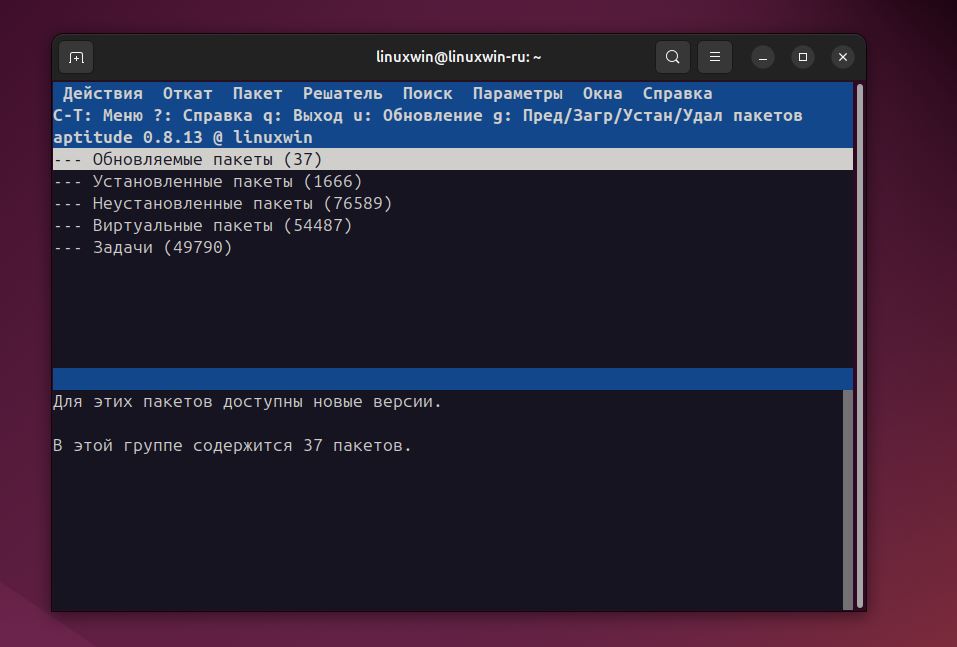 Aptitude текстовый интерфейс для управления пакетами