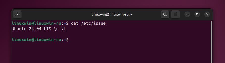 Файл issue содержит информацию о Ubuntu