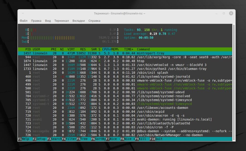 Запуск Htop в Linux Mint 21