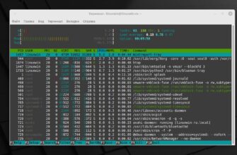 Запуск Htop в Linux Mint 21