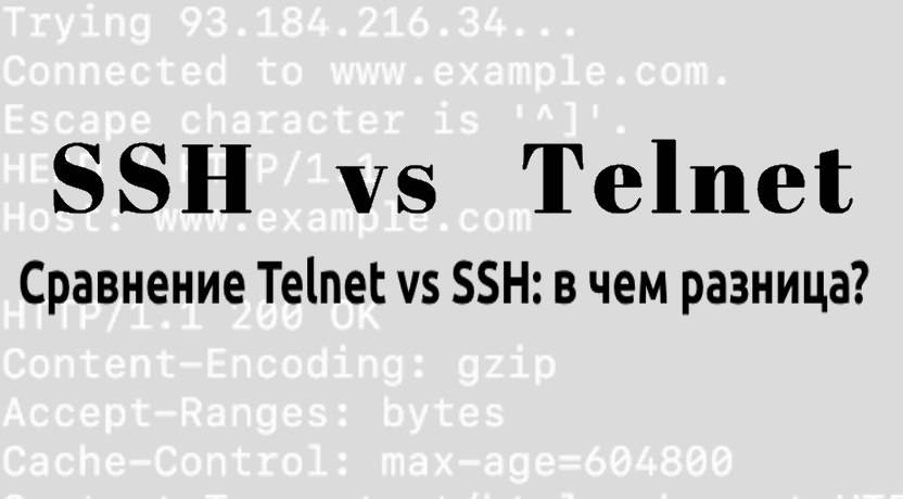 Сравнение Telnet vs SSH