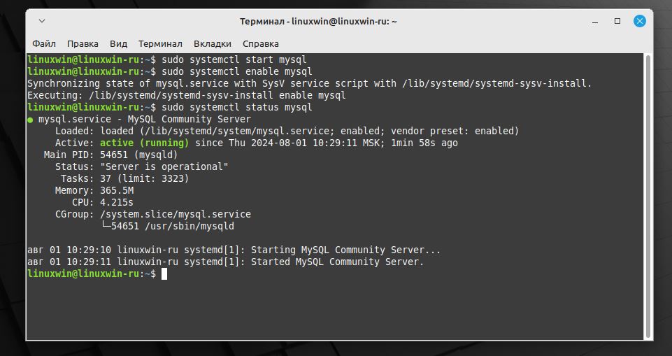Запуск и включение службы MySQL в Linux Mint 22